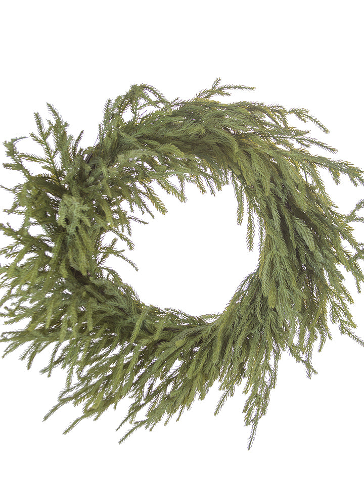 Norfolk Pine Wreath