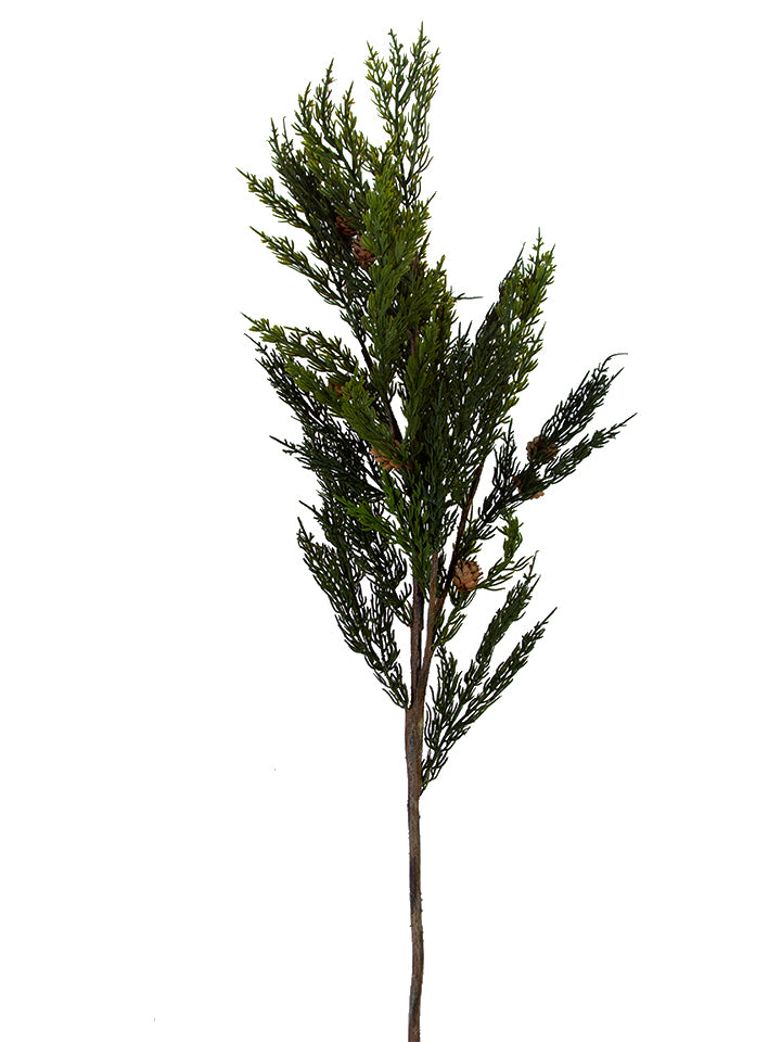 Cedar w/ Pinecone Spray