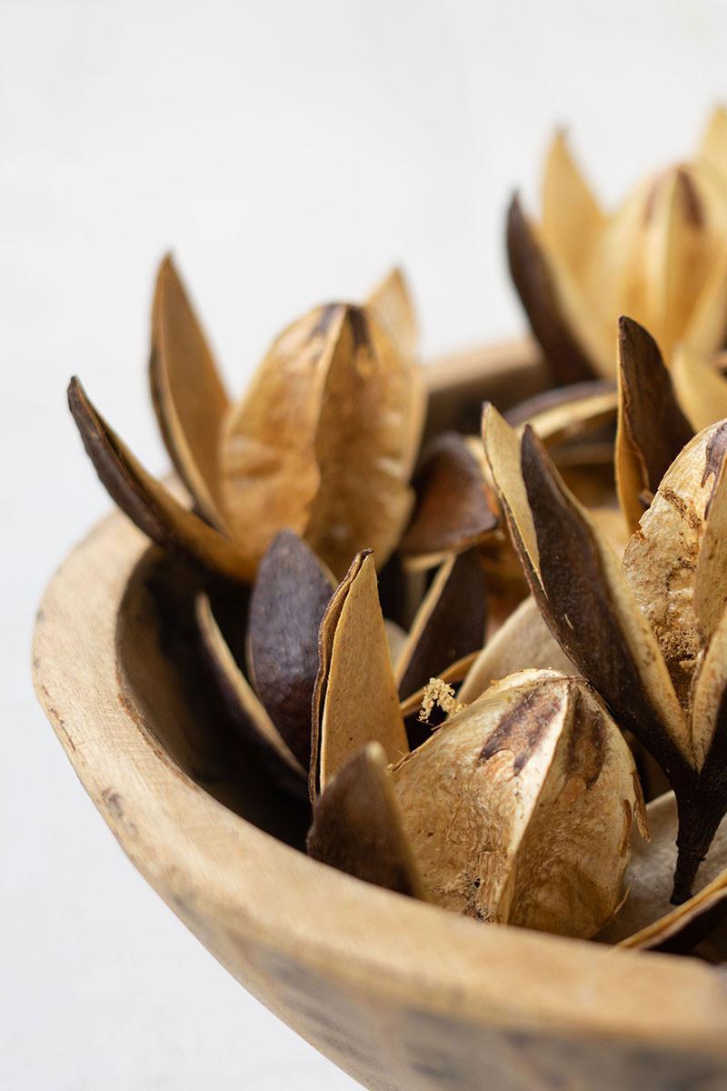 Dried Lily Flower Pods