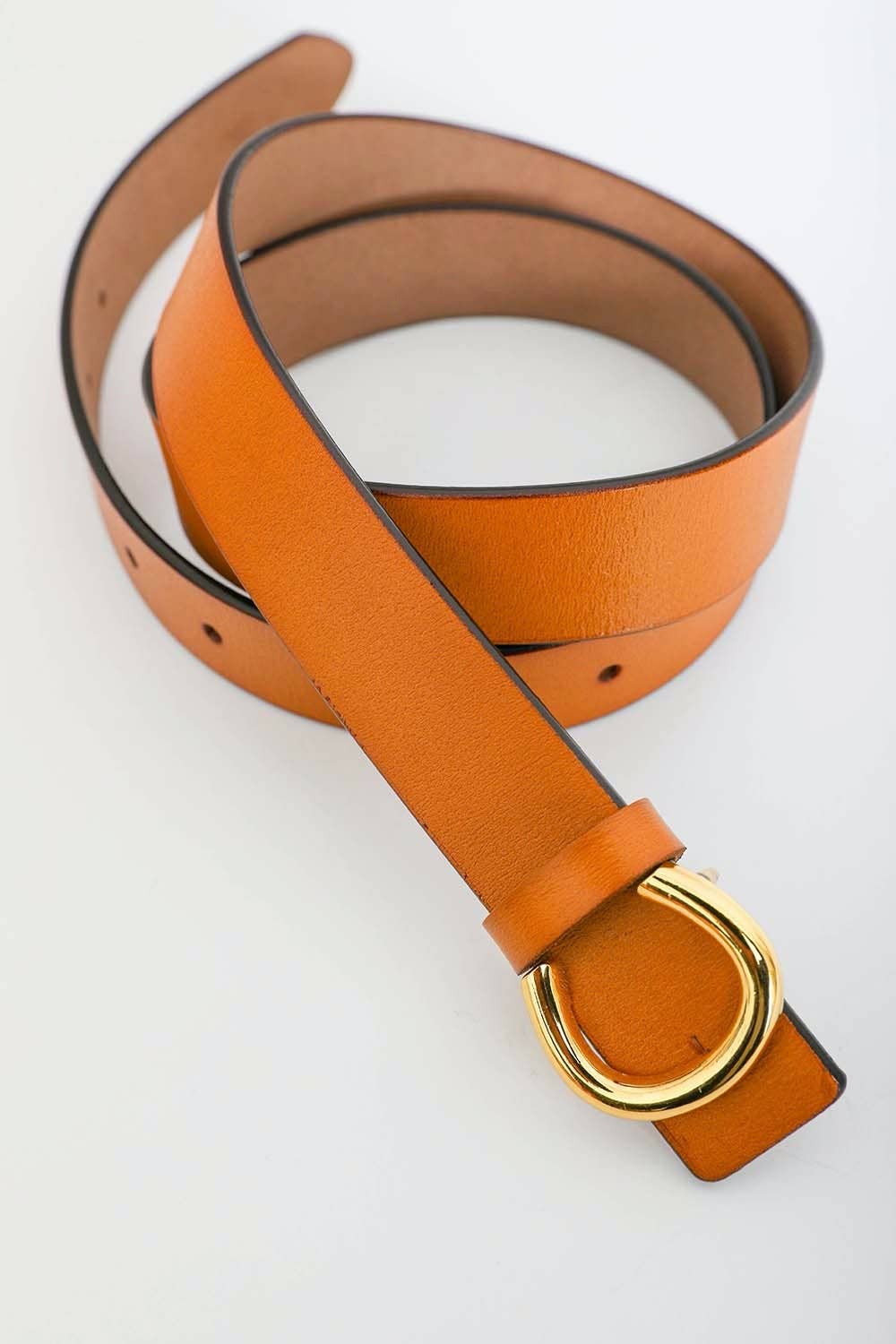 Horseshoe Cinch Belt