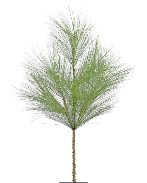 Long Needle Pine Spray