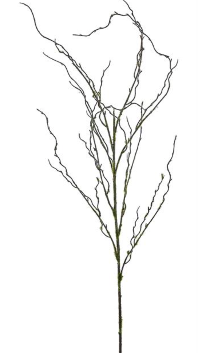 Moss Twig Branch - Thin