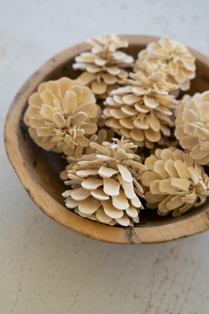 Bleached Pine Cones