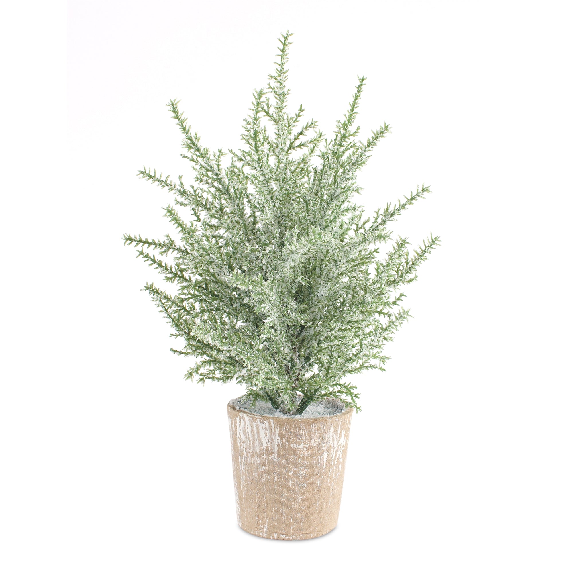 Potted Icy Pine Tree