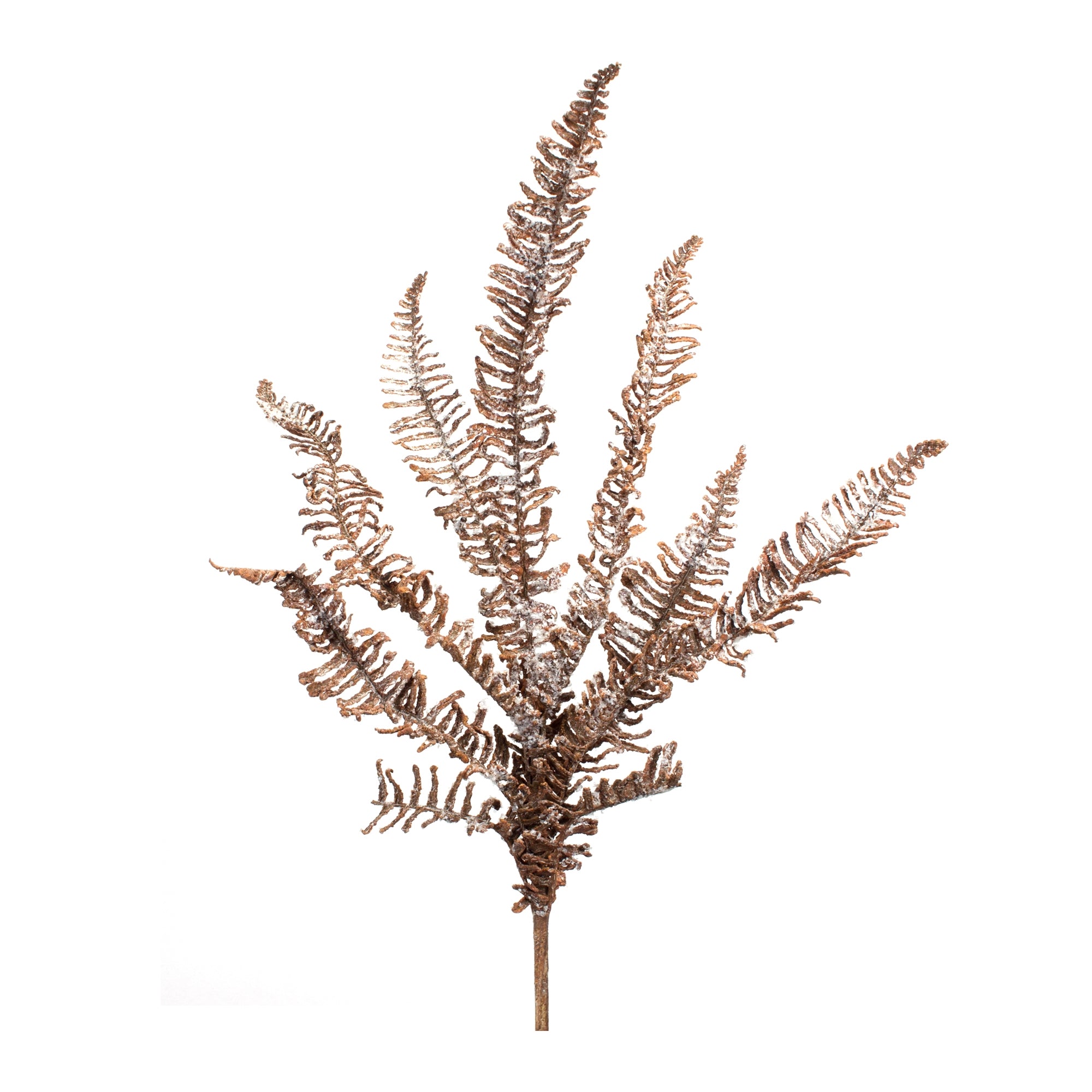 Icy Fern Spray