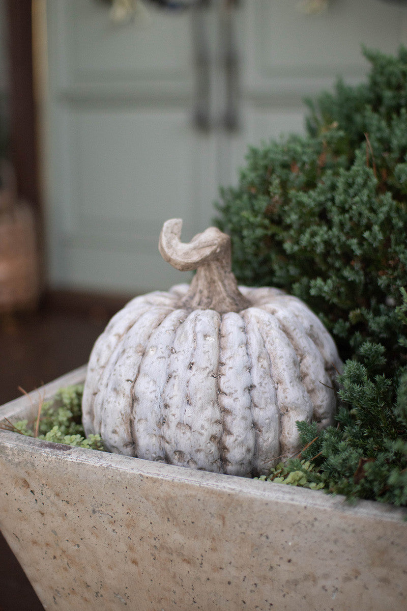 Faux Concrete Pumpkin - Short