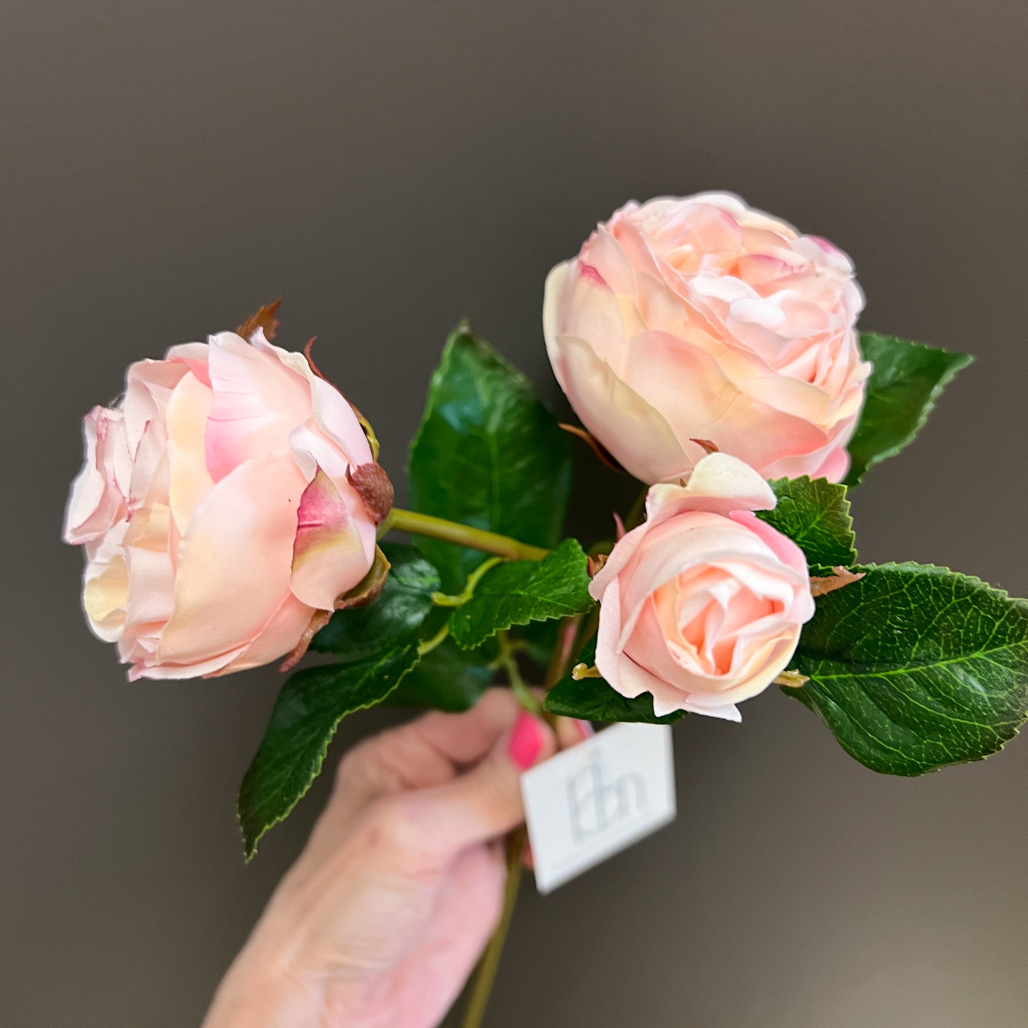 Flower Shoppe Cabbage Rose Spray - Pale Pink