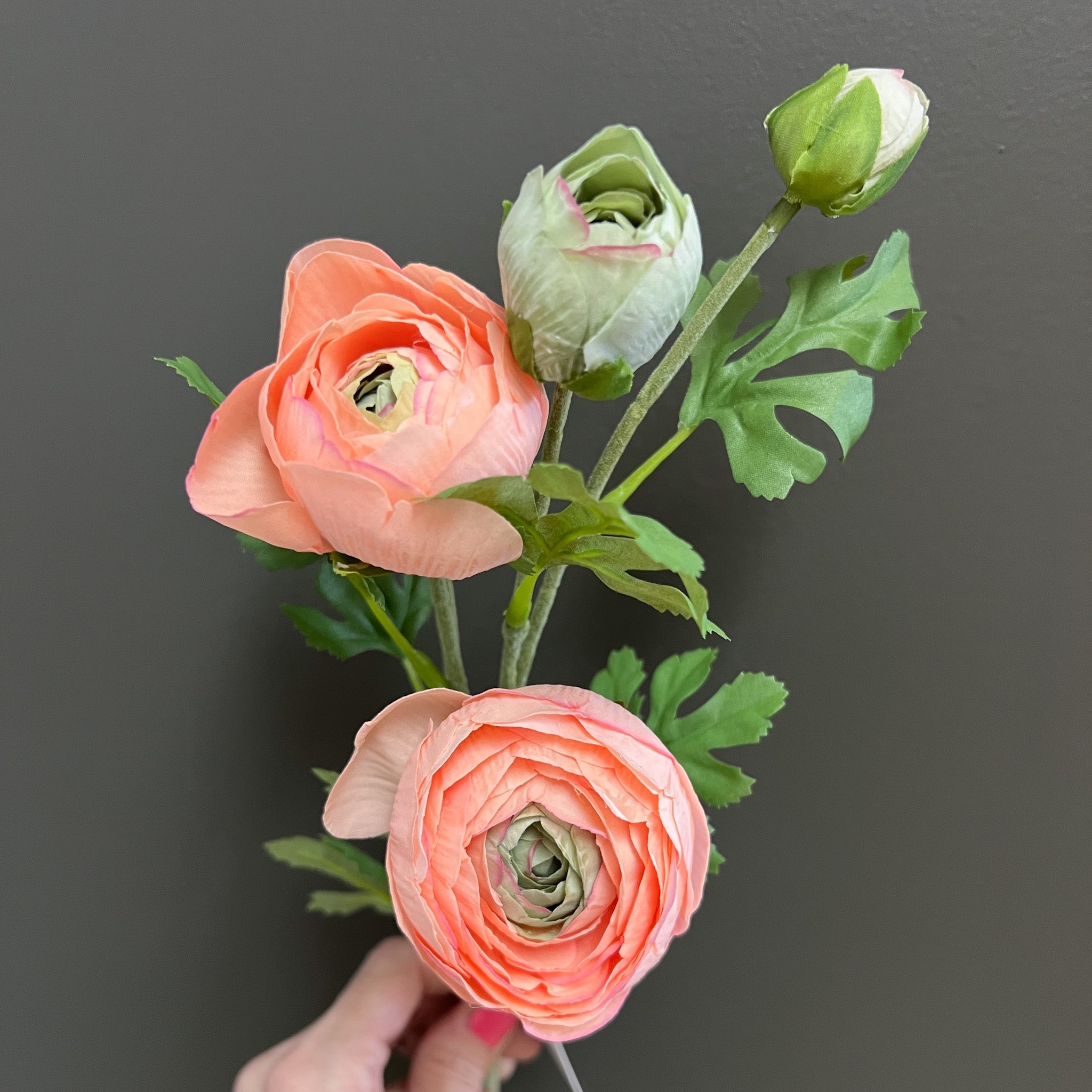 Flower Shoppe Ranunculus - Pink