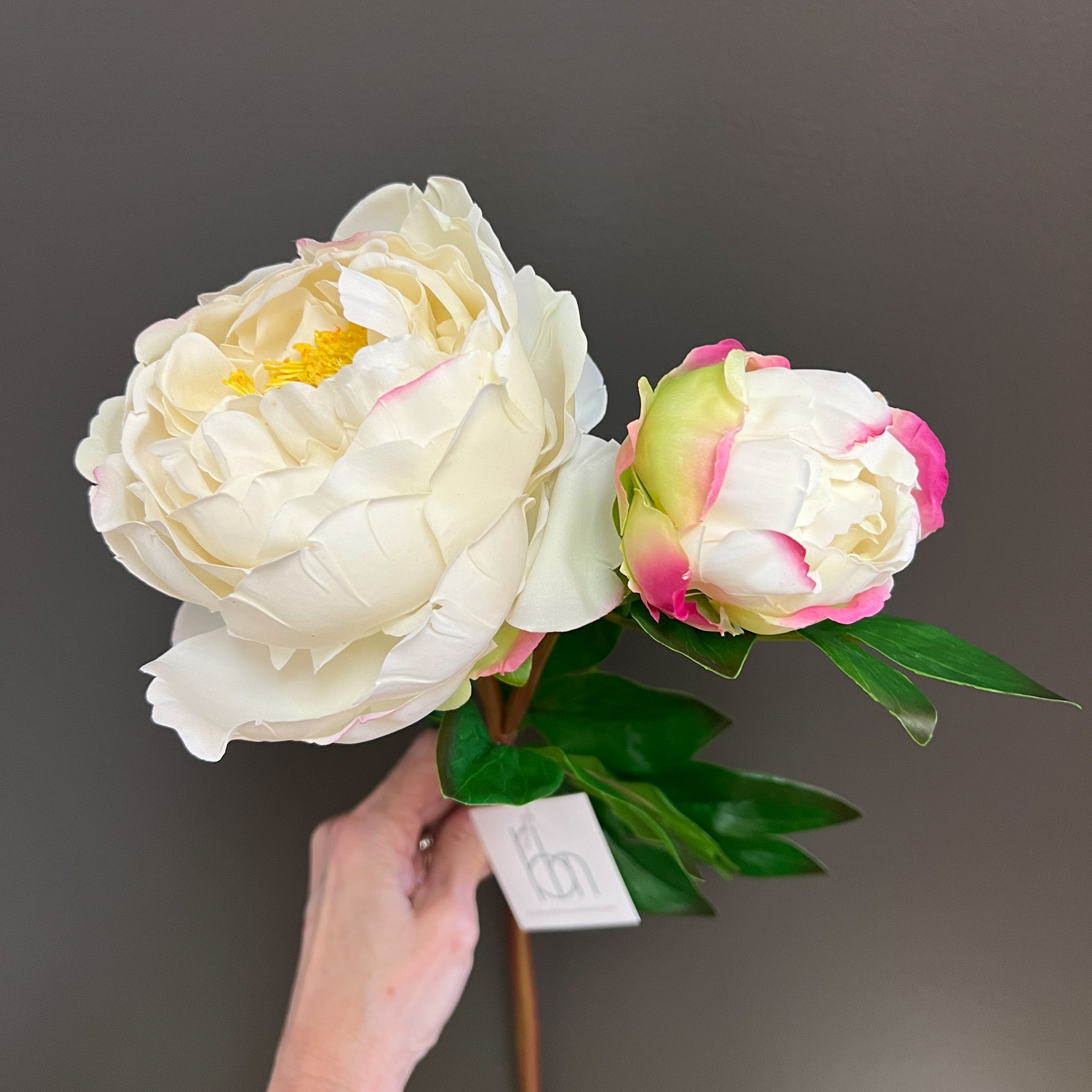 Flower Shoppe Peony - Cream