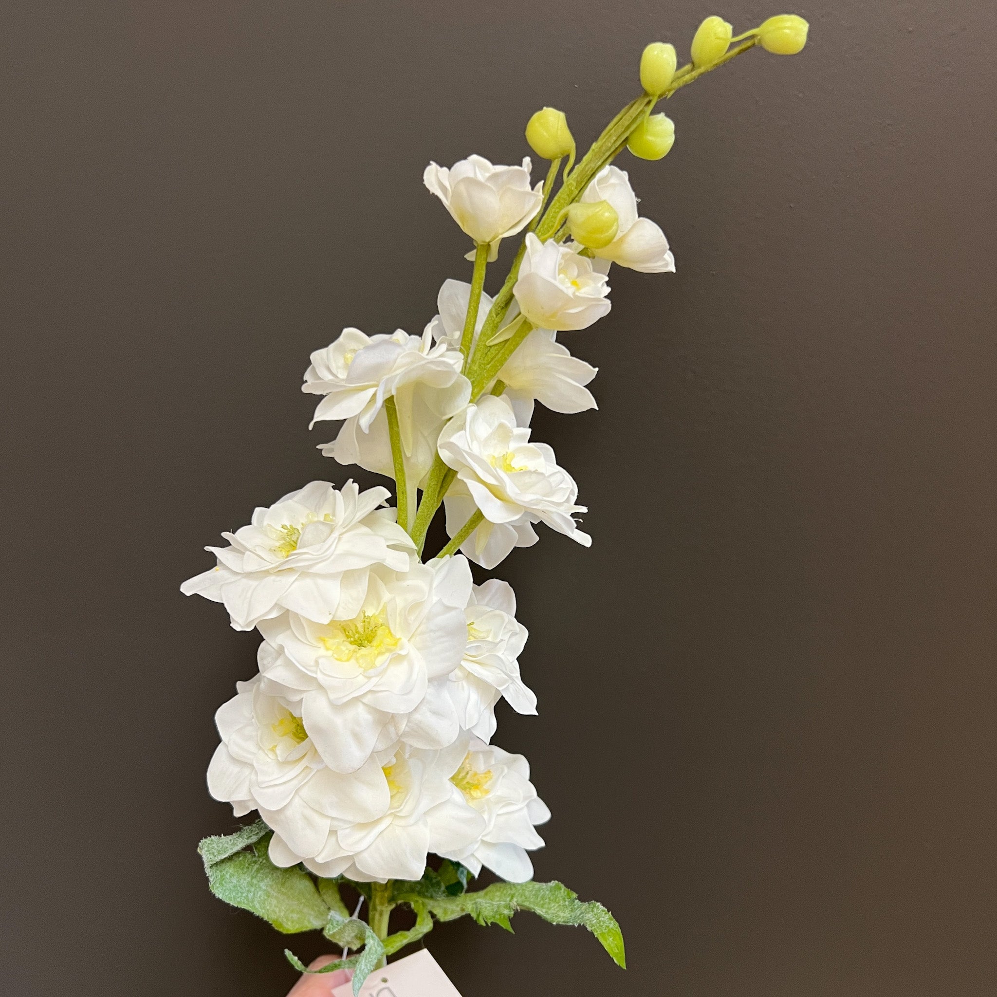 Flower Shoppe Delphinium - White