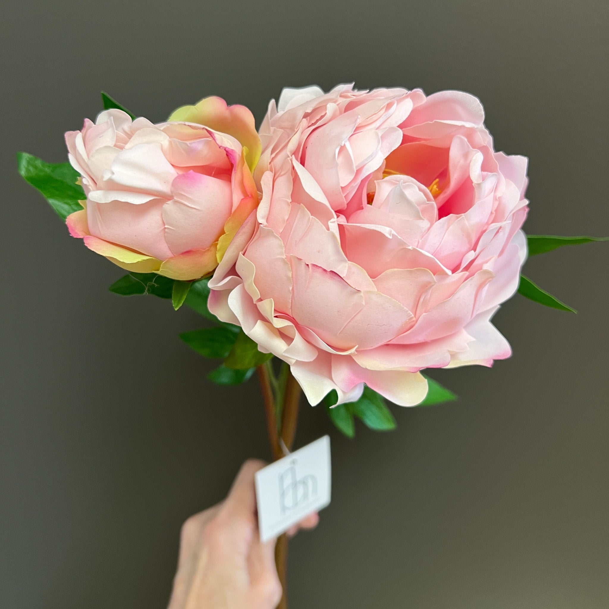 Flower Shoppe Peony - Light Pink