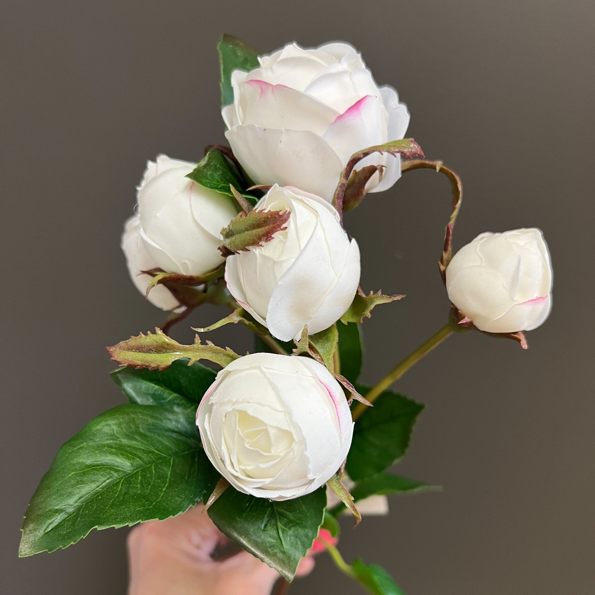 Flower Shoppe English Rose Buds - White