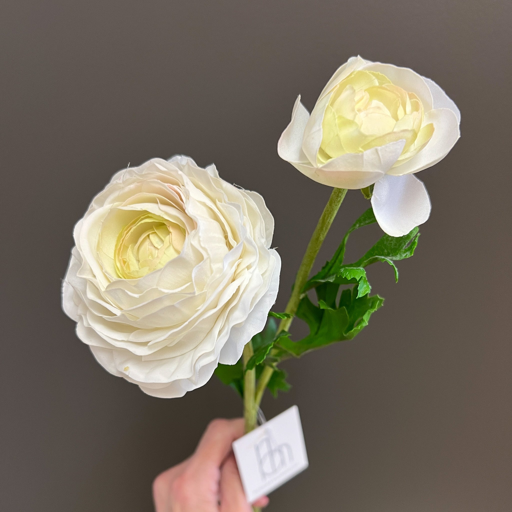 Flower Shoppe Ranunculus - White