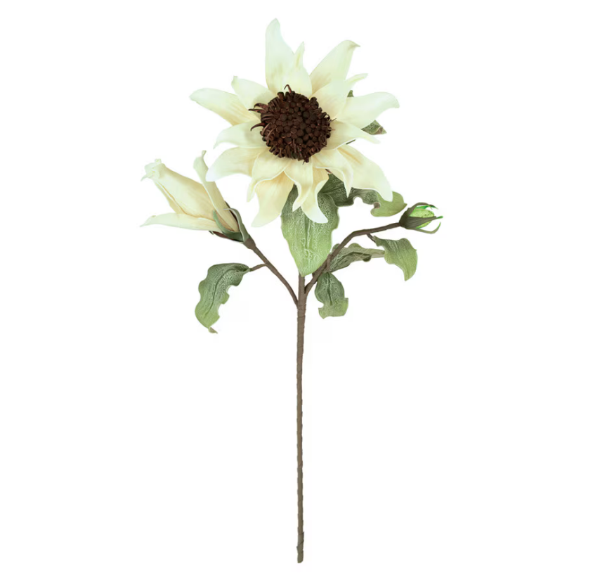 Ivory Sunflower #2797