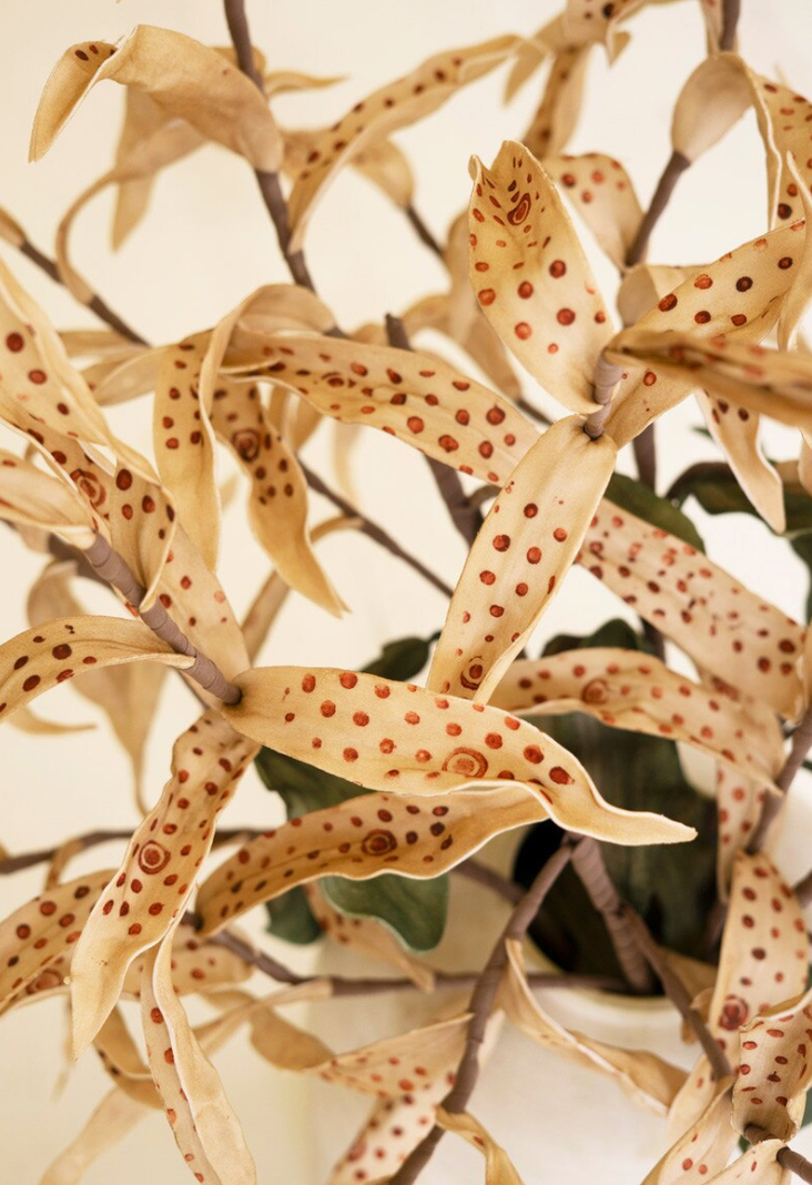 Giraffe Leaf Stem #3608