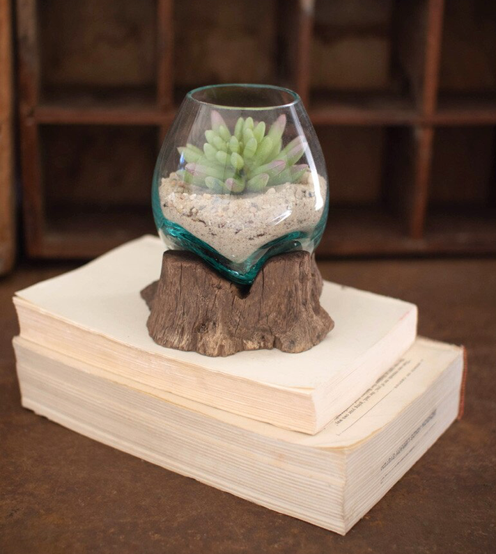 Blown Glass & Driftwood Planter