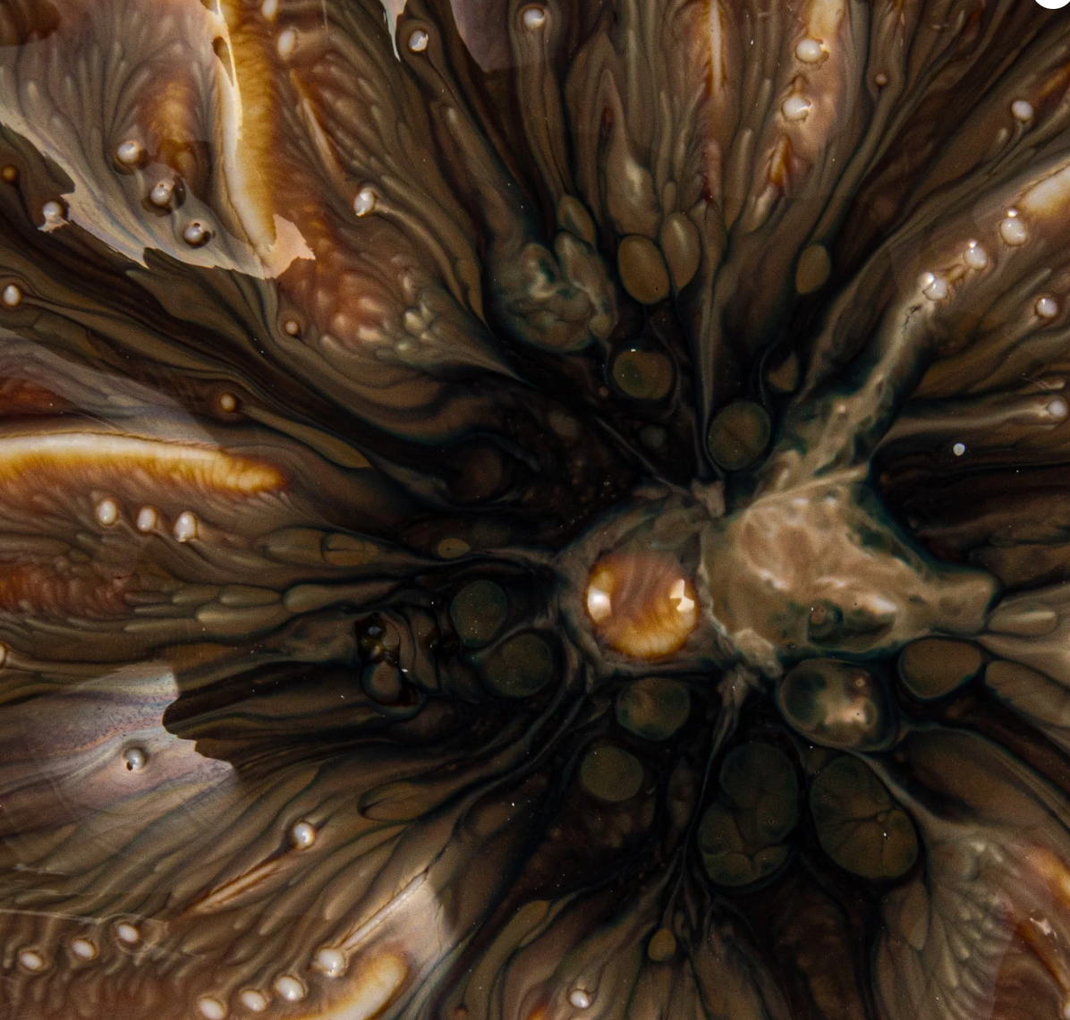 Flower Plate - Multicolor