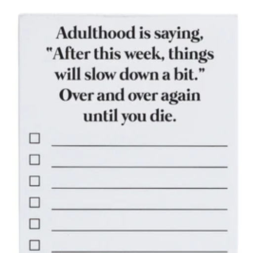 Adulthood Is Note Pad