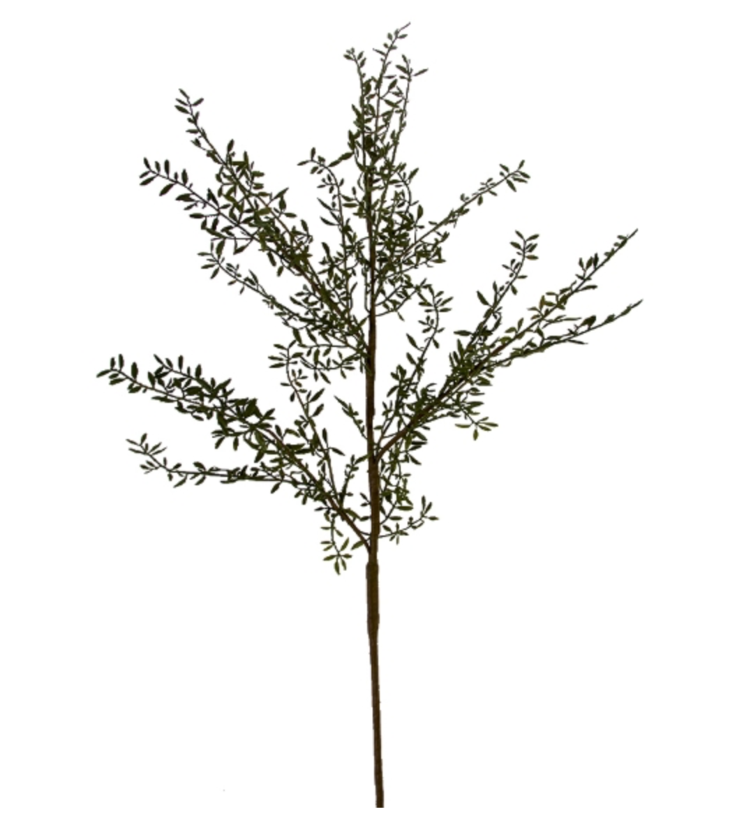 Rosemary Branch