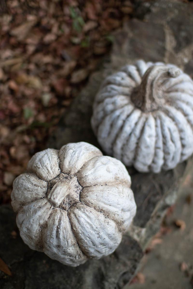 Faux Concrete Pumpkin - Short