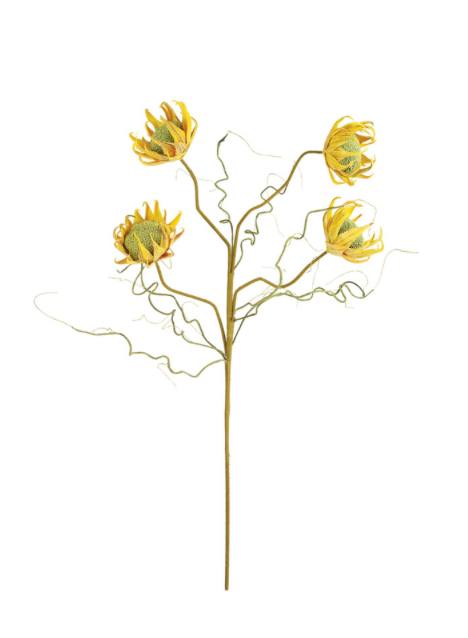 Classic Sunflower #2688