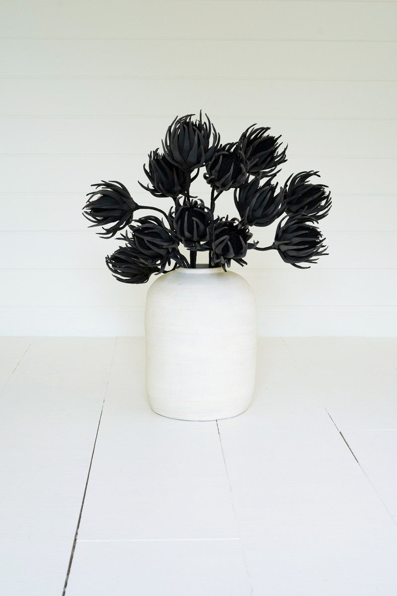 Botanica #2697