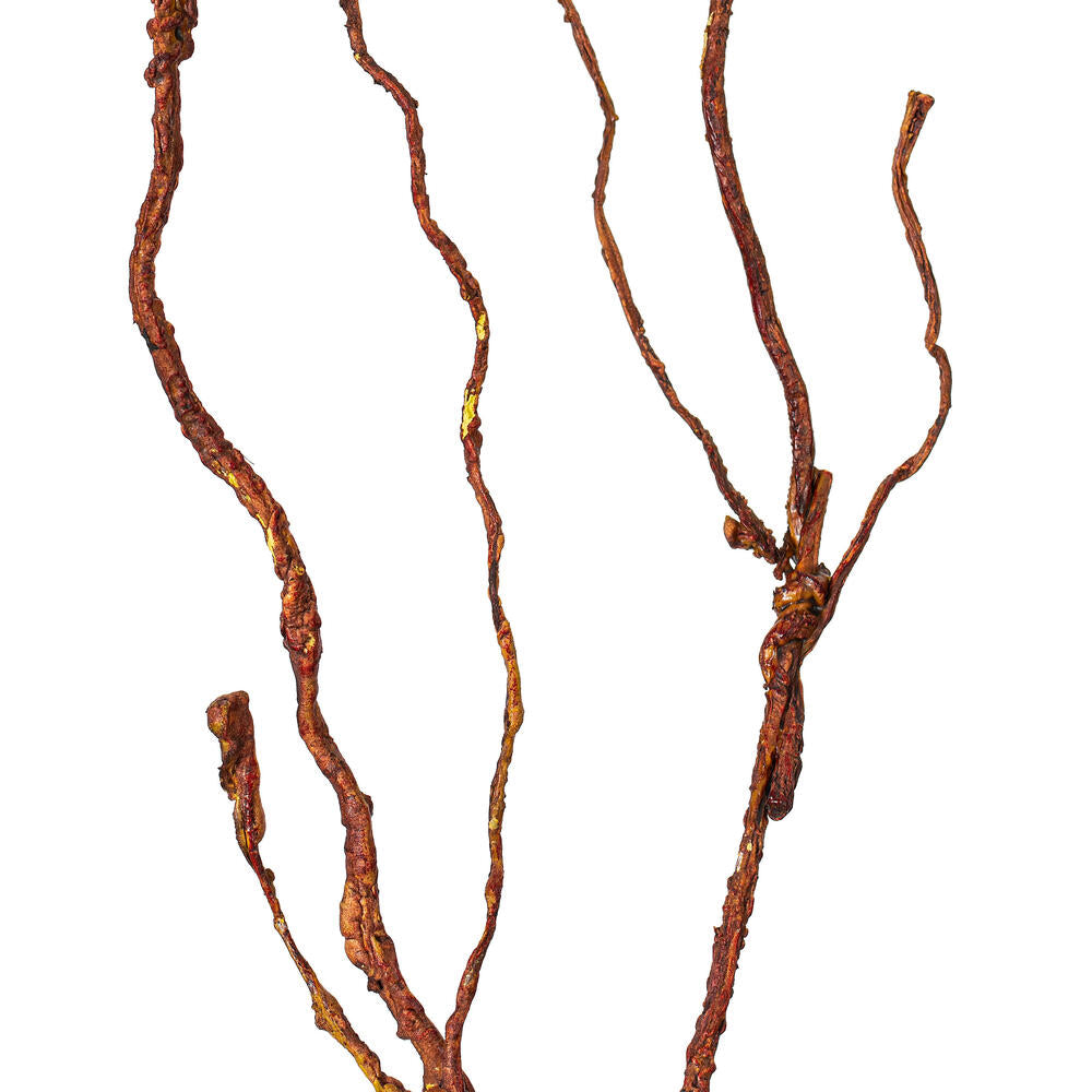 Twig Branches