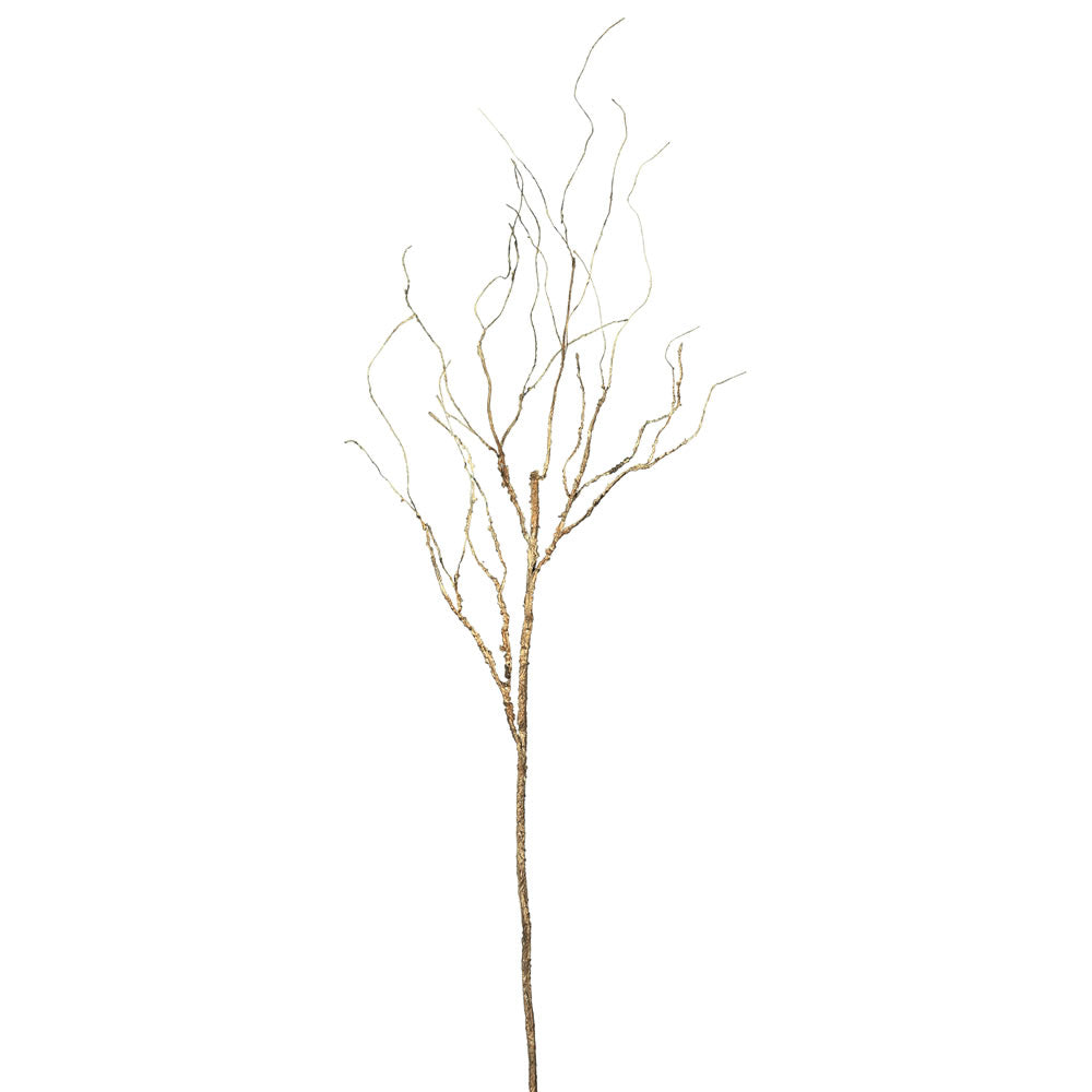 Twig Branches