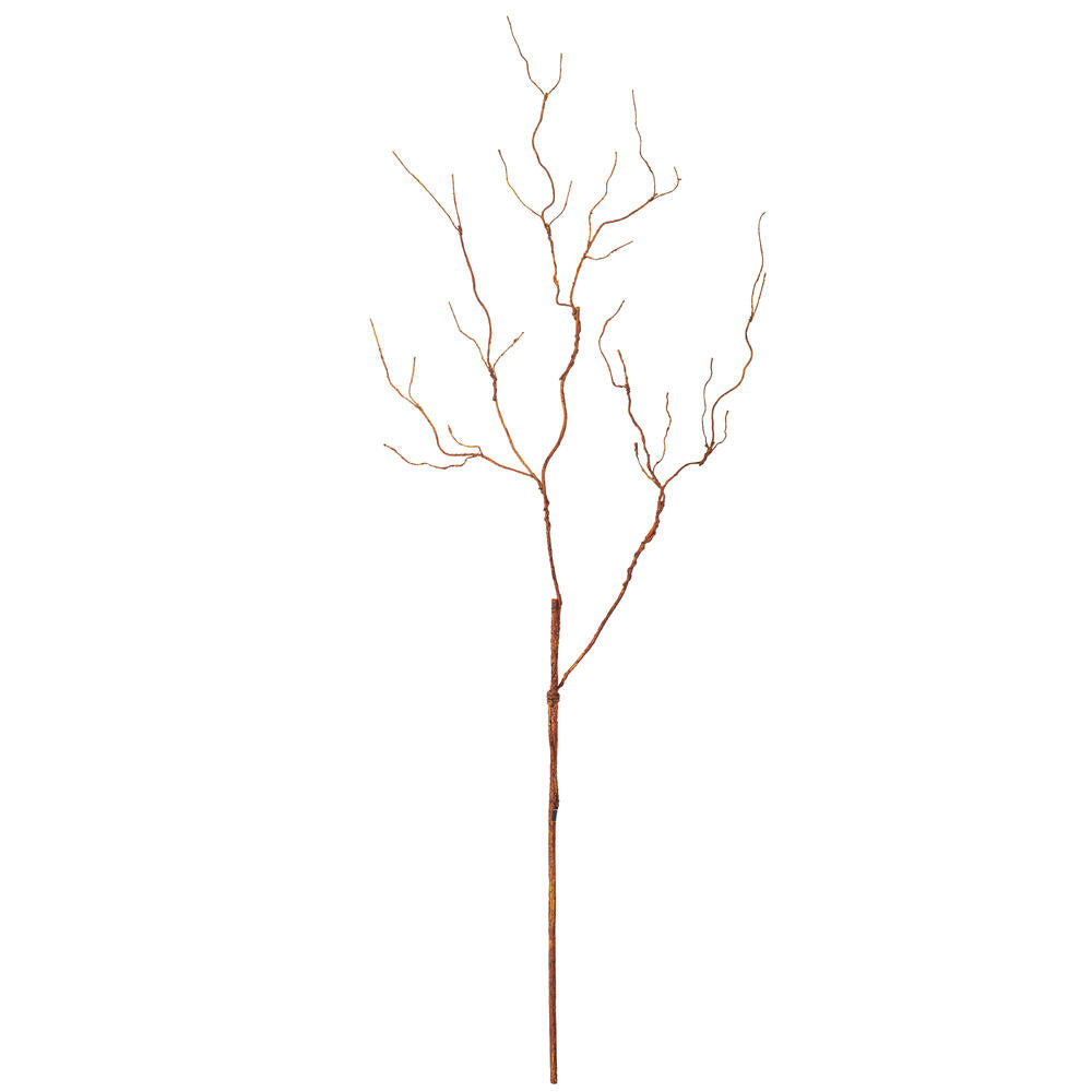 Twig Branches